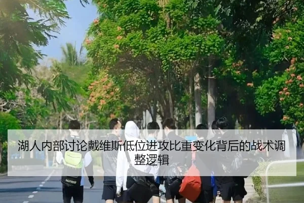 湖人内部讨论戴维斯低位进攻比重变化背后的战术调整逻辑